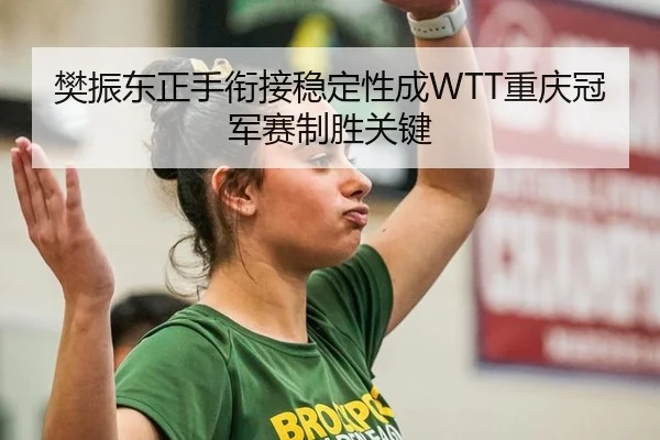 樊振东正手衔接稳定性成WTT重庆冠军赛制胜关键